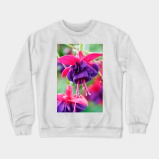 Fuchsia  'Dark Eyes'  AGM Crewneck Sweatshirt